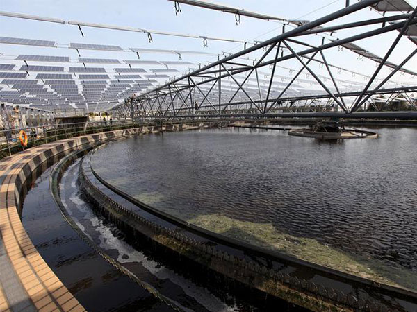 �۱�ϩ����ʹ�ìF(xi��n)��